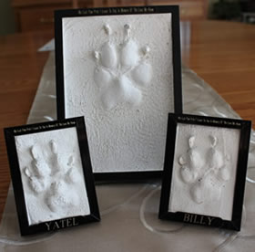 cast pet paw print edmonton