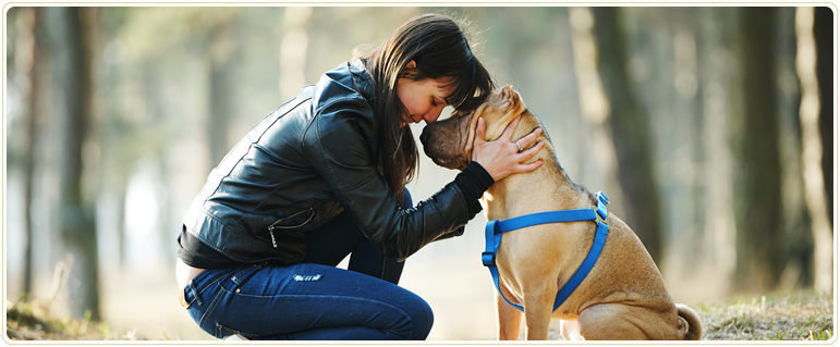 Edmonton Pet Memorial Services