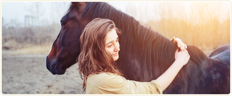 Edmonton Pet Memorial Services, horses and large animals